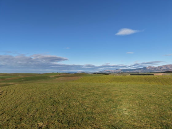5531209_2.jpg