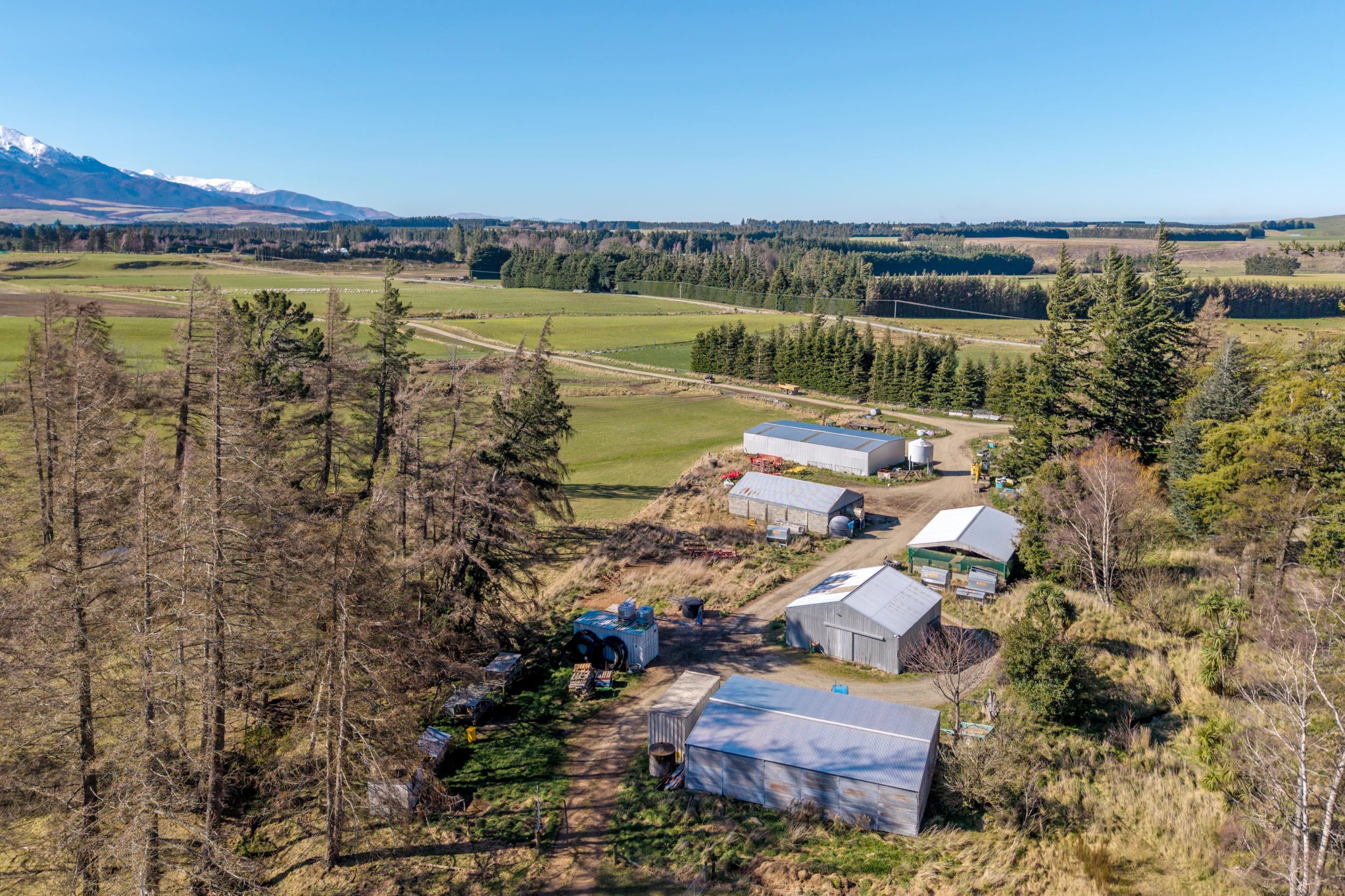 Photo 17 of 203 Upper Downs Road, Surrey Hills, Mount Somers