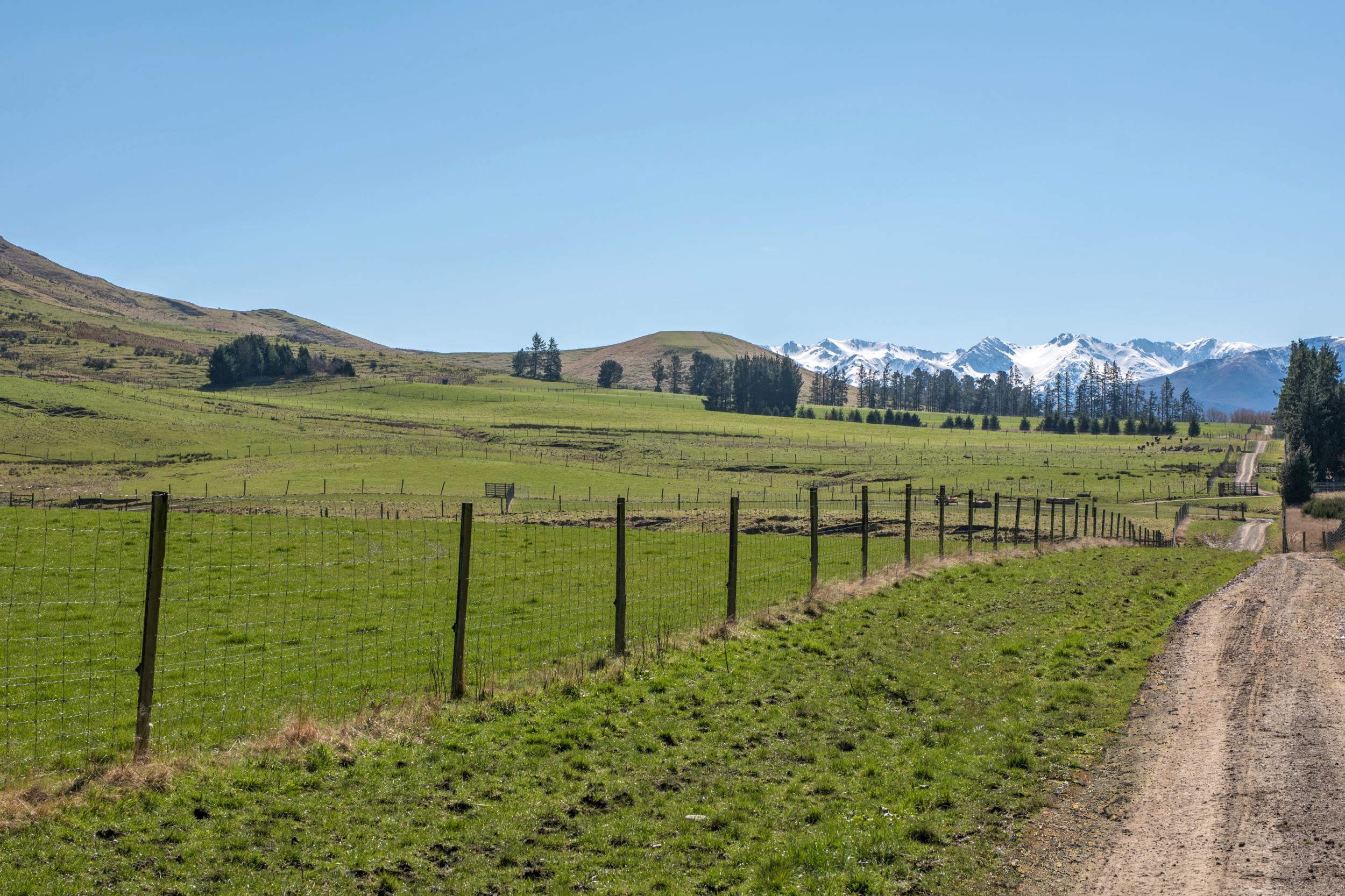 Photo 5 of 203 Upper Downs Road, Surrey Hills, Mount Somers