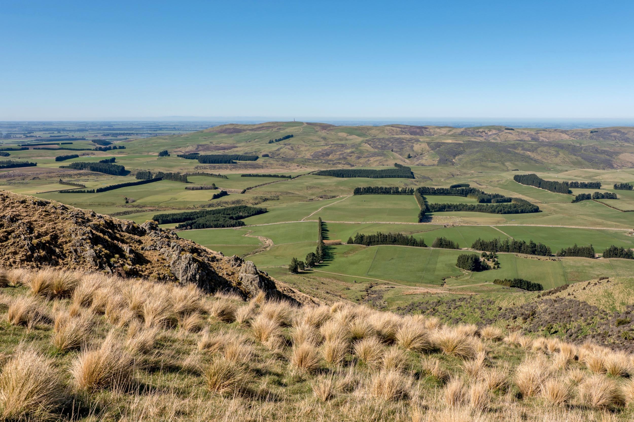 Photo 8 of 203 Upper Downs Road, Surrey Hills, Mount Somers