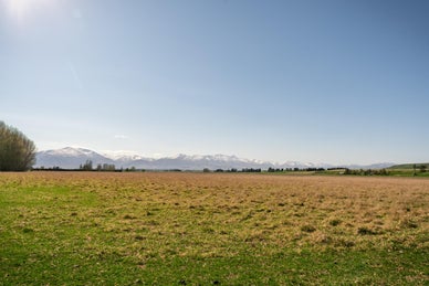 5531674_1.jpg