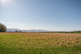 5531674_1.jpg
