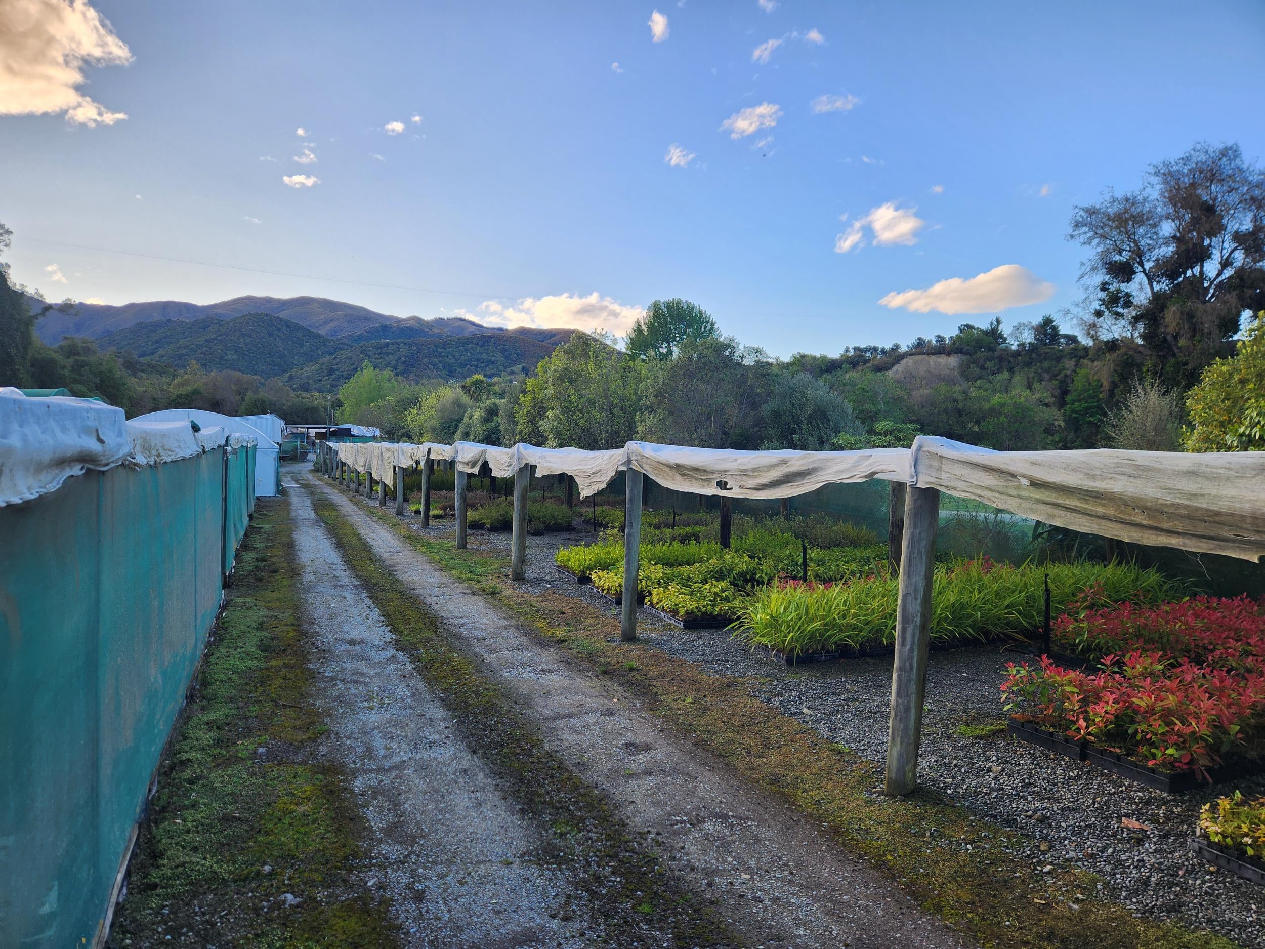 Photo 18 of 539-549 Upper Hook Road, Hunter, Waimate