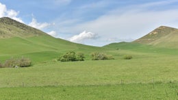 553504_1.jpg