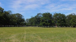 553787_1.jpg