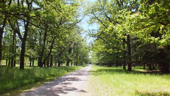 553787_2.jpg