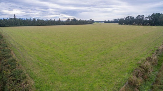 554580_3.jpg