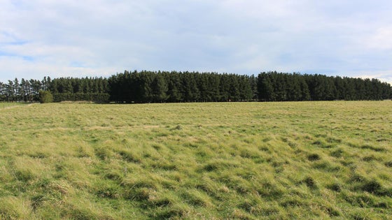555370_2.jpg