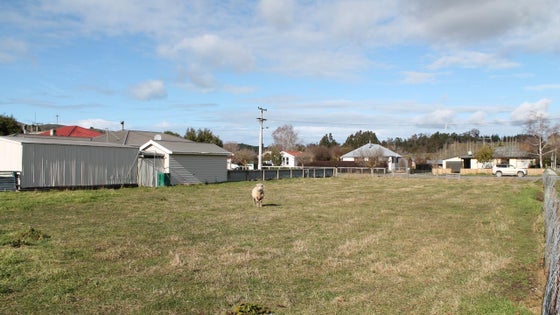 555375_2.jpg