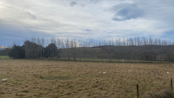 555776_3.jpg