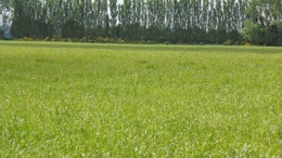 556151_1.jpg