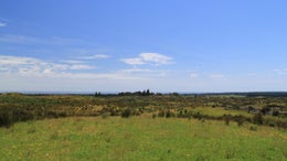 556488_1.jpg