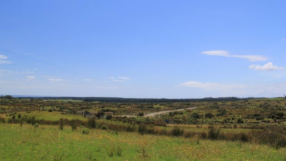 556488_2.jpg