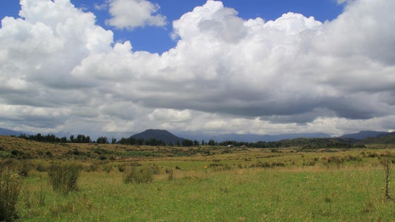 556488_3.jpg