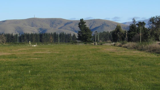 557389_2.jpg