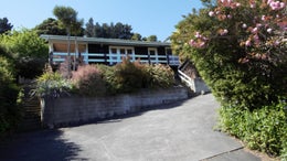 558492_1.jpg