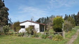 558516_1.jpg