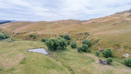 559331_2.jpg