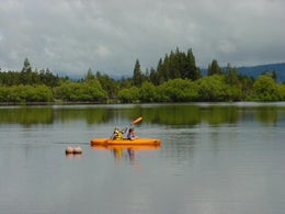 57075_1.jpg