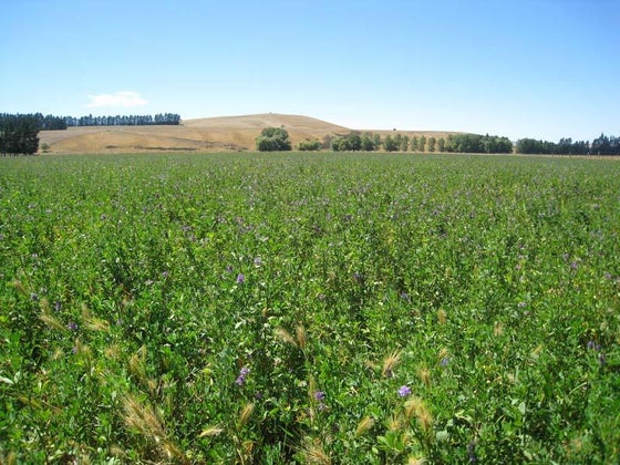58313_3.jpg