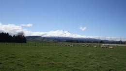 600368_1.jpg