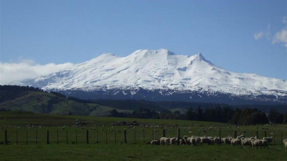 600368_2.jpg