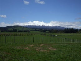 600542_1.jpg