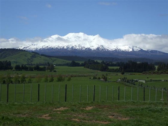 600542_2.jpg