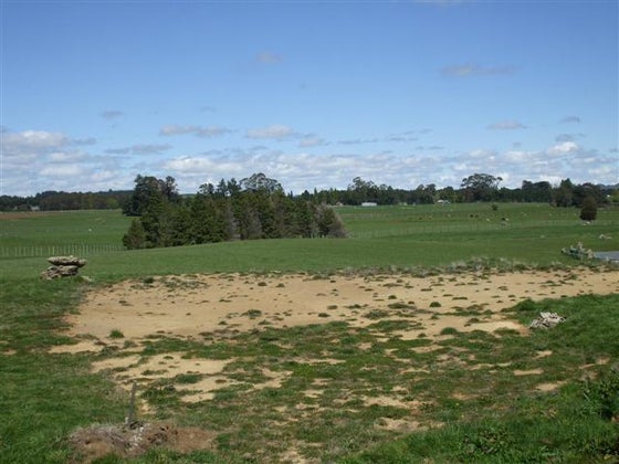 600542_3.jpg