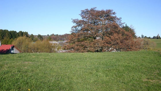 601076_3.jpg