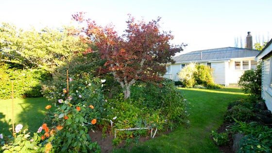 601562_3.jpg