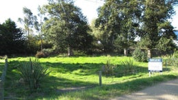 62709_1.jpg