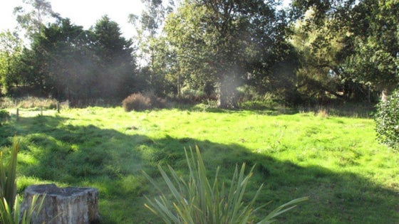 62709_3.jpg