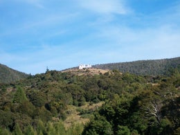 650456_1.jpg