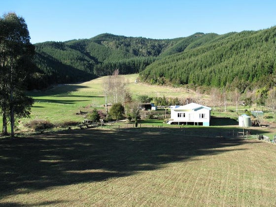650641_2.jpg