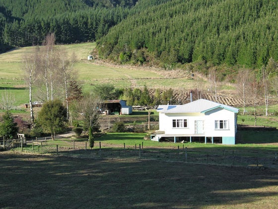 650641_3.jpg