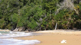 650818_1.jpg