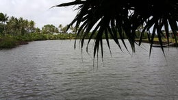 670859_1.jpg