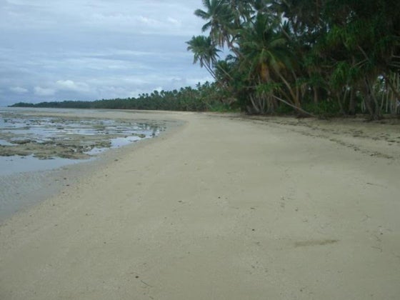 670966_2.jpg