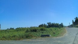 671300_1.jpg