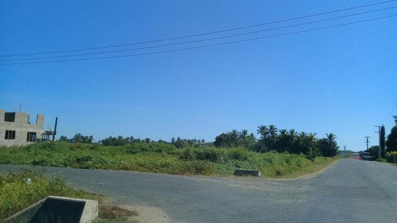671300_2.jpg