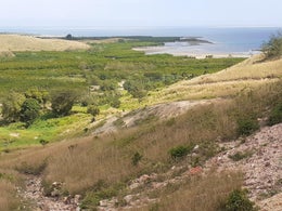 671344_1.jpg