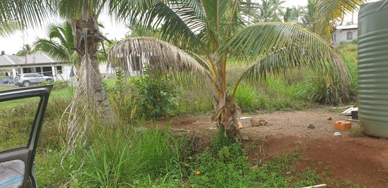 671382_3.jpg