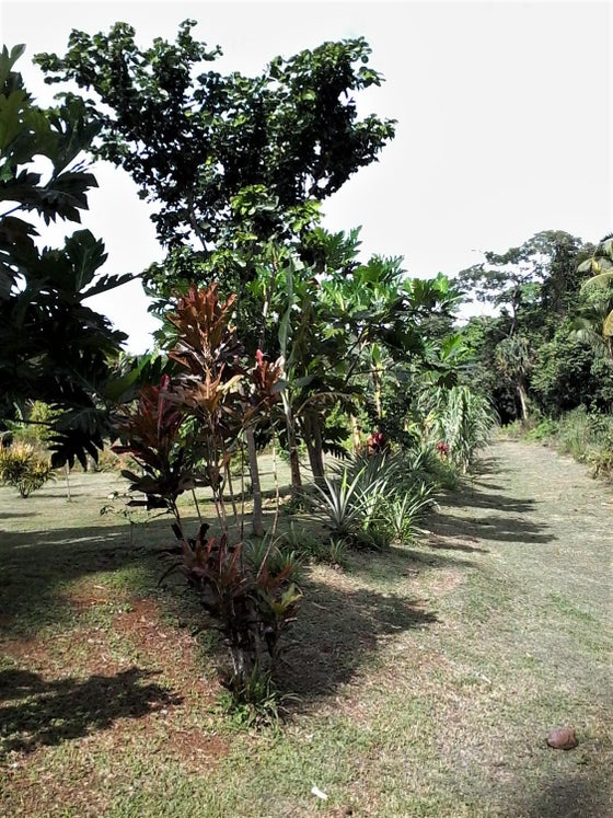 671509_2.jpg