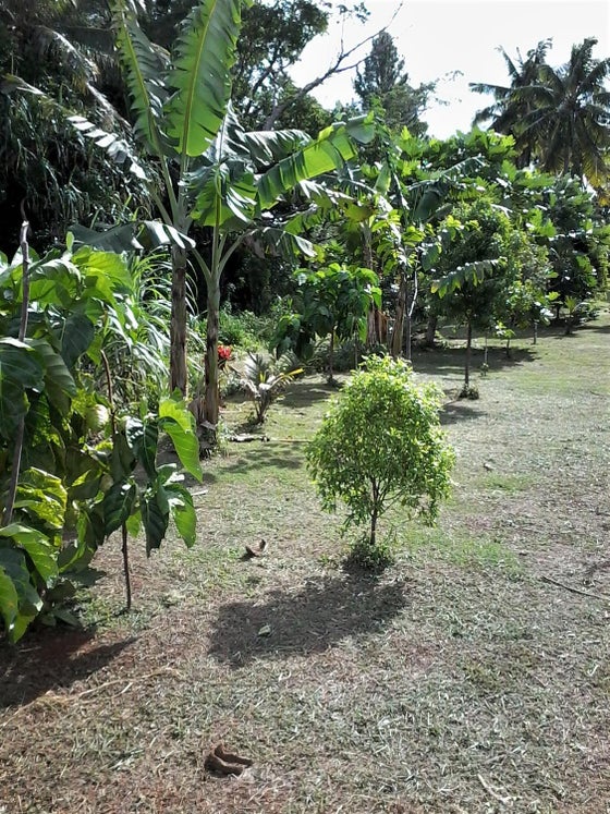 671509_3.jpg