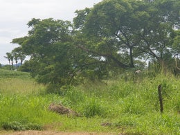 671587_1.jpg