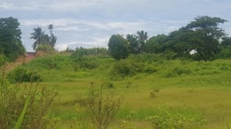 671665_1.jpg