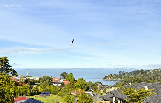 701254_2.jpg