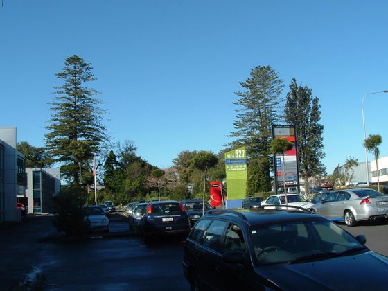 701319_3.jpg