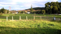 72496_1.jpg
